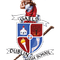 dublin high school logo